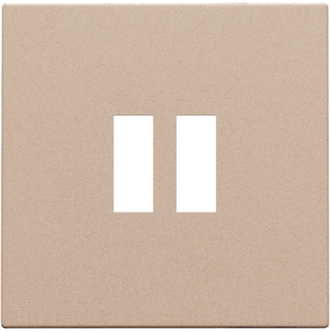 Afwerkingsset voor dubbele USB-A-lader, champagne coated