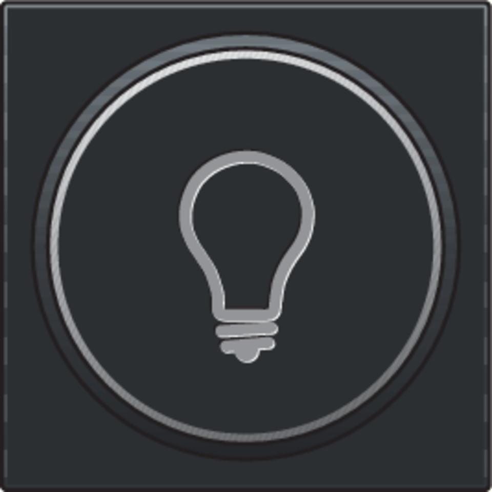 Niko 161-64008: Afwerkingsset met doorschijnende ring met lampsymbool voor drukknop 6A met amberkleurige led met E10-lampvoet, black coated - Image 2