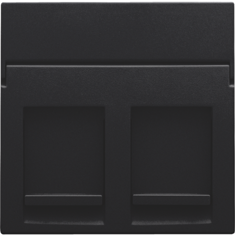 Centraalplaat data 2x RJ, black coated