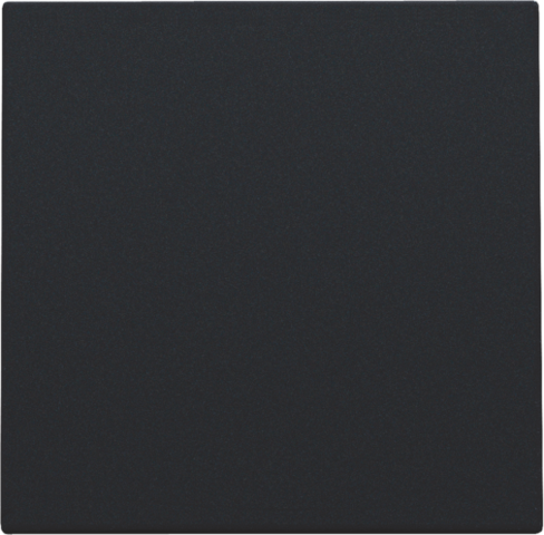 Blindplaat, black coated