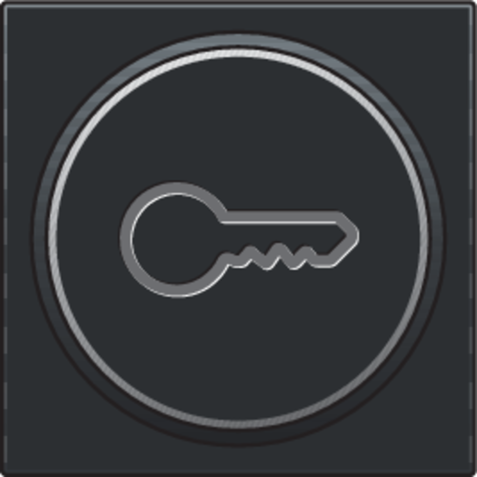 Niko 200-64009: Afwerkingsset met doorschijnende ring met sleutelsymbool voor drukknop 6A met amberkleurige led met E10-lampvoet, piano black coated - Image 2