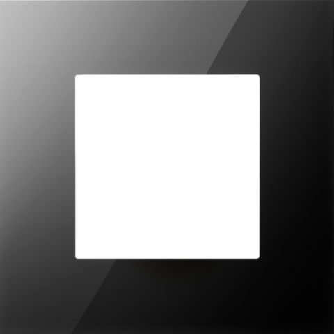 Enkelvoudige afdekplaat, Niko Pure liquid black