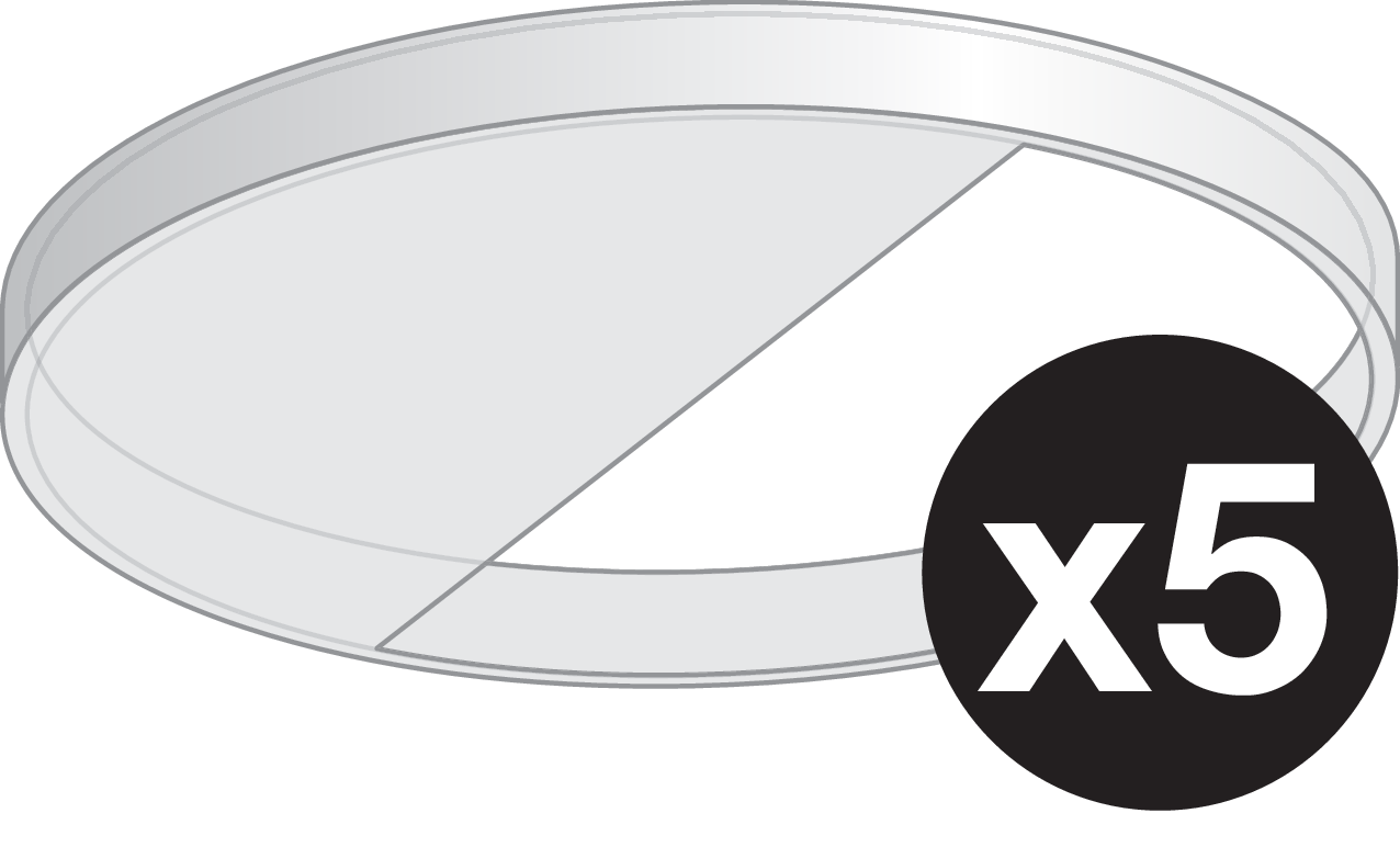 Niko 353-999869: Lenscover voor P4XMR- en M4XMR-detectoren, transparant (5 stuks) - Image 2