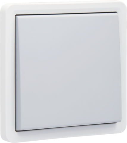 Spuitwaterdichte tweepolige schakelaar 10 AX/250 Vac met ins