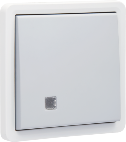 Spuitwaterdichte tweepolige controleschakelaar 10 AX/250 Vac