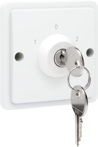 Spuitwaterdichte sleutelschakelaar 10 A met schroefklemmen,w