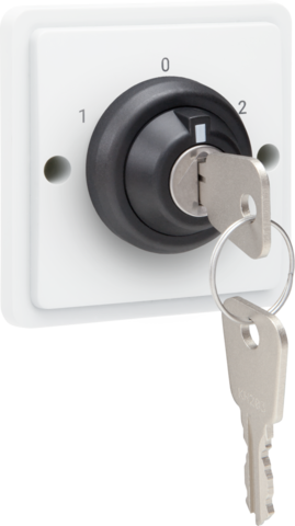 Spuitwaterdichte sleutelschakelaar 16 A met schroefklemmen,